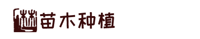 龙8体育